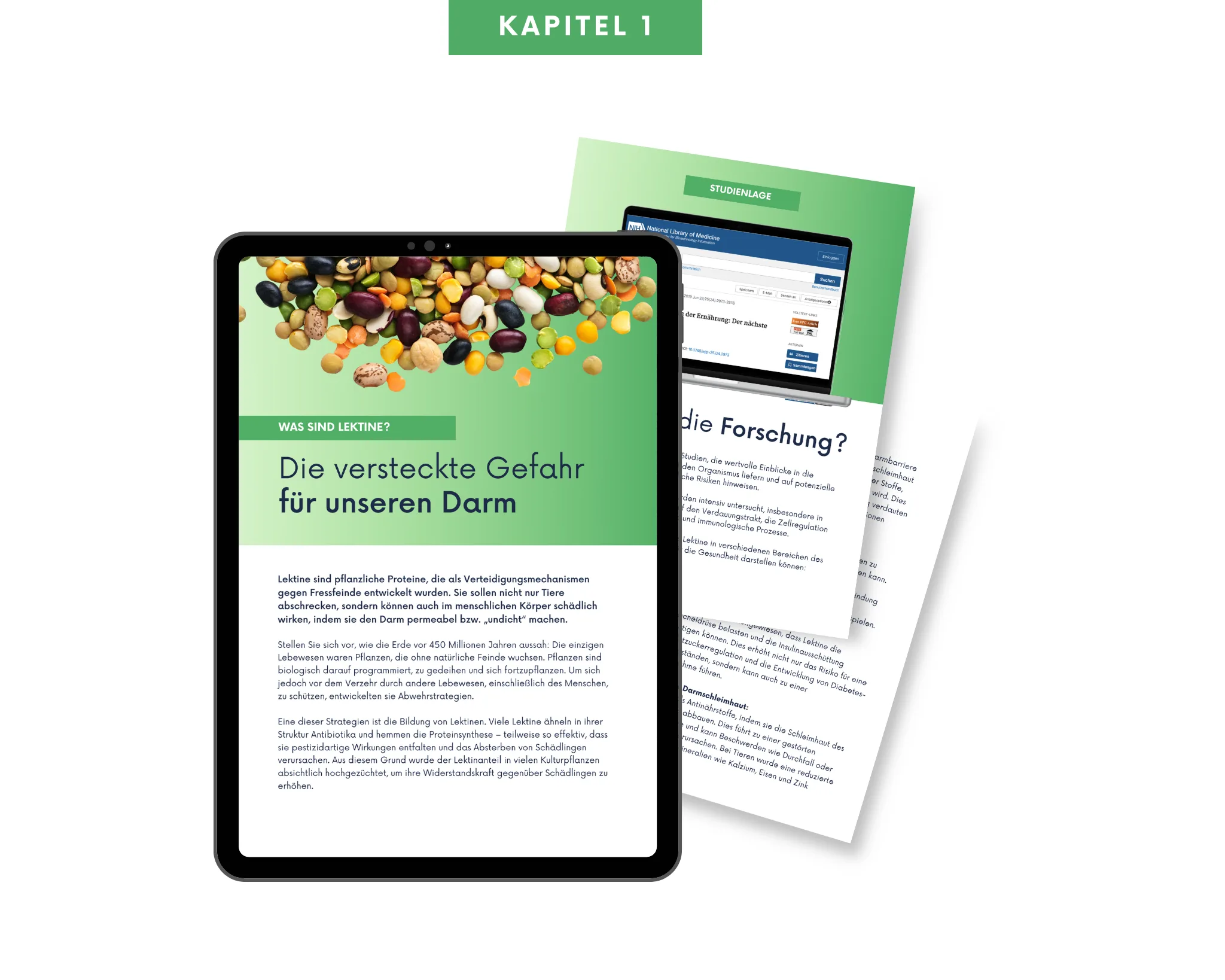 Kapitel 1 Was sind Lektine?