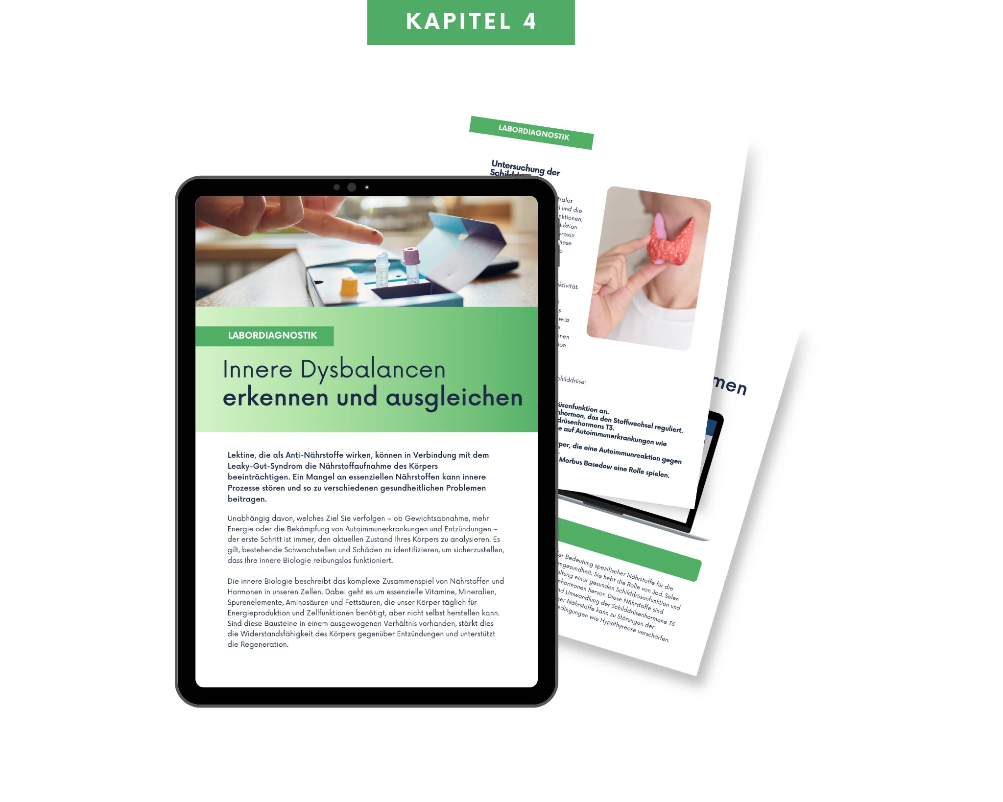Kapitel 4 Die passende Labordiagnostik
