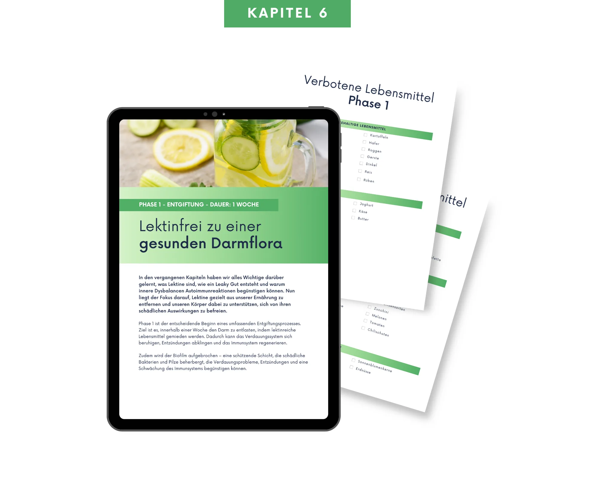Kapitel 6 Phase 1 – Die Entgiftung